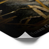 Wilde kat slaapt lief in bed van stro poster (Hoek)