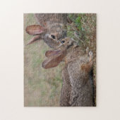 Wilde katoenstaartkonijnen legpuzzel (Verticaal)