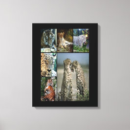 Wilde katten collage Wrapped Canvas Afdruk