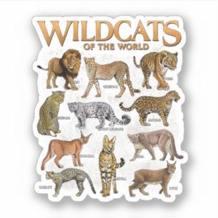 Wilde Katten Dieren van de Wereld Educatieve Wild  Sticker