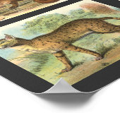 Wilde katten poster (Hoek)