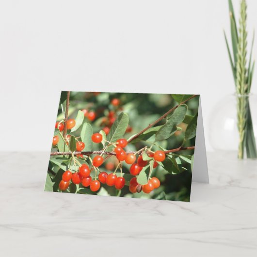 Wilde kersen 1 kaart (Voorkant)