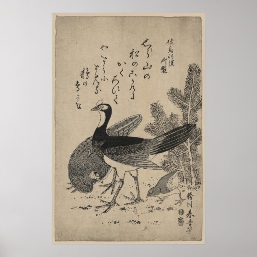 Wilde kippen en pijn poster (Voorkant)