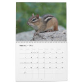 Wilde kleine ritten kalender (Feb 2027)