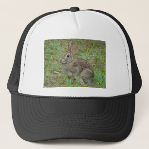 Wilde konijn oostelijk katoenstaart II kleding en Trucker Pet