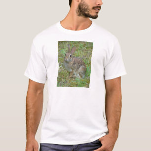 Wilde konijn oostelijk katoenstaart kleding en cad t-shirt
