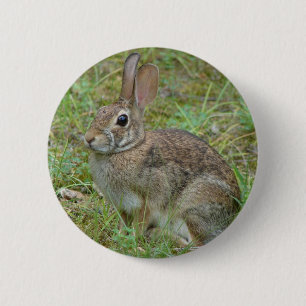Wilde Konijn Oostelijke Katoenstaart II Kleding &  Ronde Button 5,7 Cm