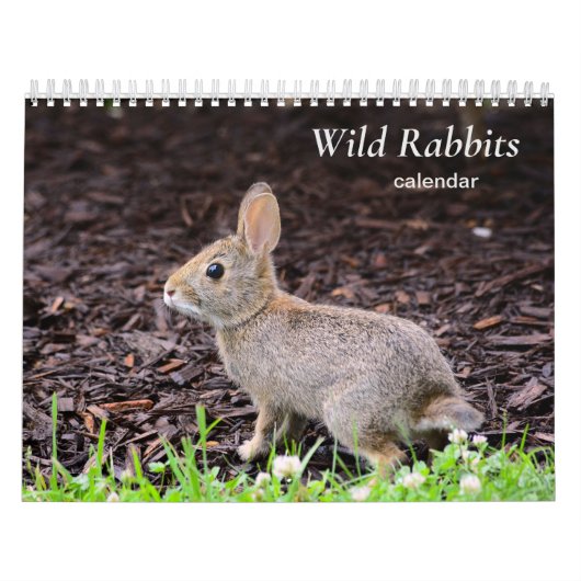Wilde konijnen kalender (Hoes)