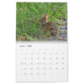 Wilde konijnen kalender (Mar 2027)