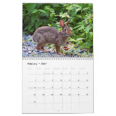 Wilde konijnen kalender (Feb 2027)