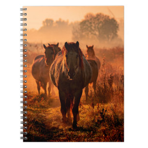 wilde konik - paarden die direct naar de oorlog tr notitieboek