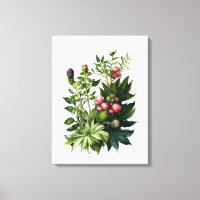 Wilde kruiden en bloemen waterverf canvas kunst