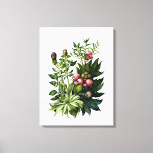 Wilde kruiden en bloemen waterverf canvas kunst