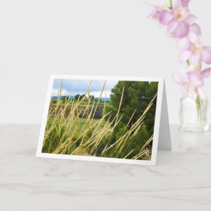 Wilde landelijke graslandschap kaart