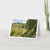 Wilde landelijke graslandschap kaart (Voorkant)