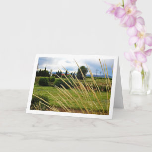 Wilde landschap met gras kaart