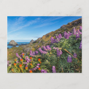 Wilde lupine en penseel briefkaart