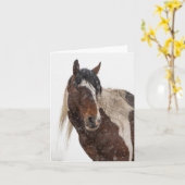 Wilde mosterd in de sneeuwkaart kaart (Gele Bloem)