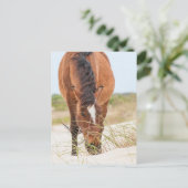Wilde mosterdpaarden of bankerpaarden briefkaart (Staand voorkant)