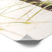 Wilde mosterdpaarden of bankerpaarden poster (Hoek)