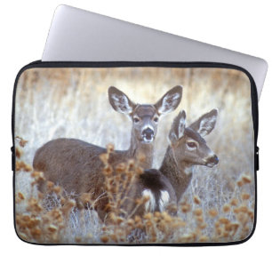 Wilde muilezel paar Californië Laptop Sleeve