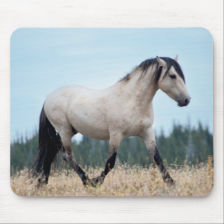 Wilde Mustang Hengst Muismat