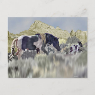 Wilde Mustang Merrie en Veulen Briefkaart