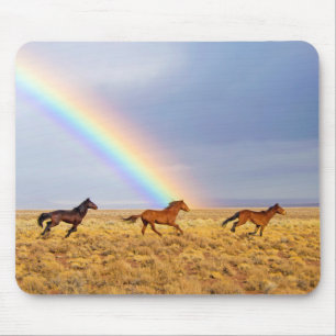 Wilde Mustang Paarden die lopen en Regenboog Muismat