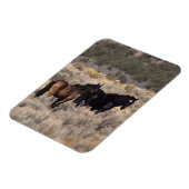 Wilde Mustang-paarden in de woestijn 2 Magneet (Linkerzijde)