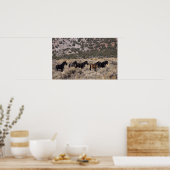Wilde Mustang-paarden in de woestijn 2 Poster (Keuken)
