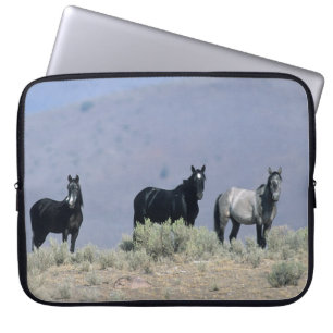 Wilde Mustang-paarden in de woestijn 3 Laptop Sleeve