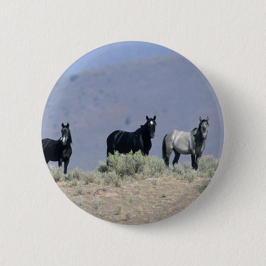 Wilde Mustang-paarden in de woestijn 3 Ronde Button 5,7 Cm (Voorkant)