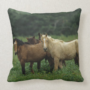 Wilde Mustangs 4 Kussen