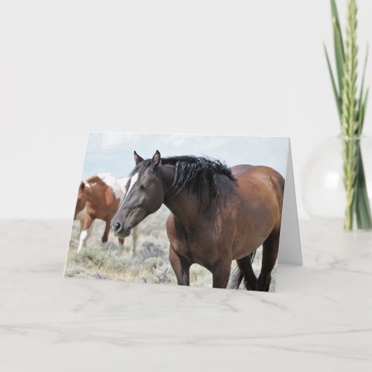 Wilde Mustangs uit het westen Kaart (Voorkant)