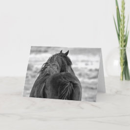 Wilde Mustangs uit het westen Kaart