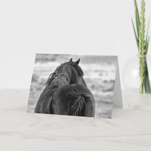 Wilde Mustangs uit het westen Kaart (Voorkant)