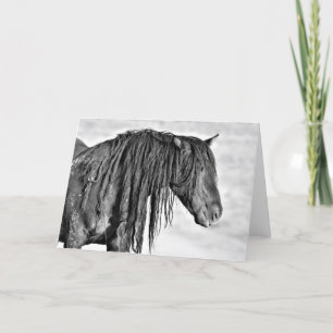 Wilde Mustangs uit het westen Kaart