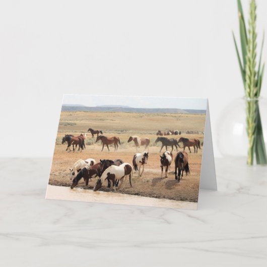 Wilde Mustangs uit het westen Kaart (Voorkant)