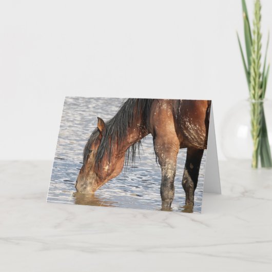 Wilde Mustangs uit het westen Kaart (Voorkant)