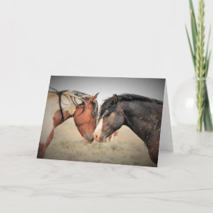 Wilde Mustangs uit het westen Kaart
