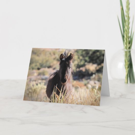 Wilde Mustangs uit het westen Kaart (Voorkant)