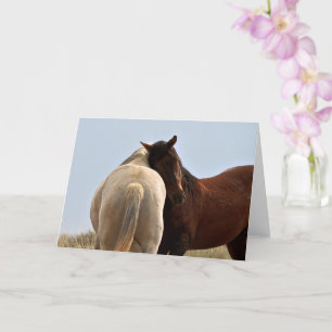 Wilde Mustangs uit het westen Kaart