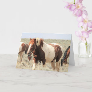 Wilde Mustangs uit het westen Kaart