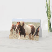 Wilde Mustangs uit het westen Kaart (Voorkant)