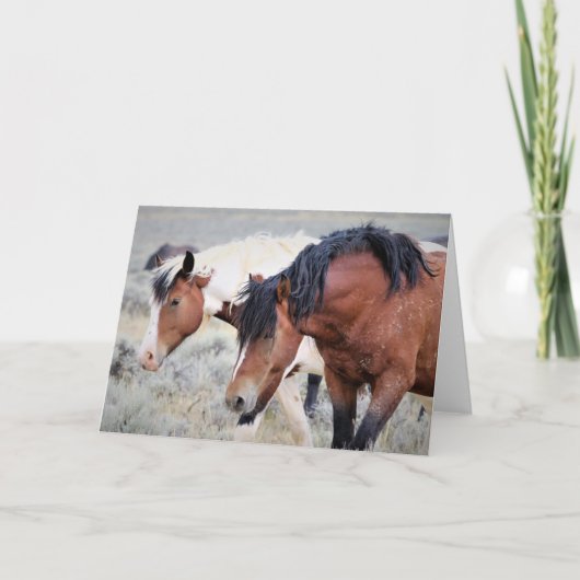 Wilde Mustangs uit het westen Kaart (Voorkant)