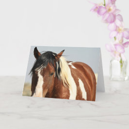 Wilde Mustangs uit het westen Kaart