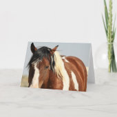 Wilde Mustangs uit het westen Kaart (Voorkant)