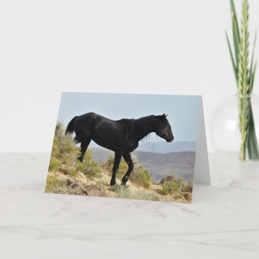 Wilde Mustangs uit het westen Kaart (Voorkant)