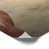 Wilde Mustangs uit het westen Poster (Hoek)