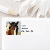 Wilde Mustangs van het Adres van het Westen Etiket (Insitu)